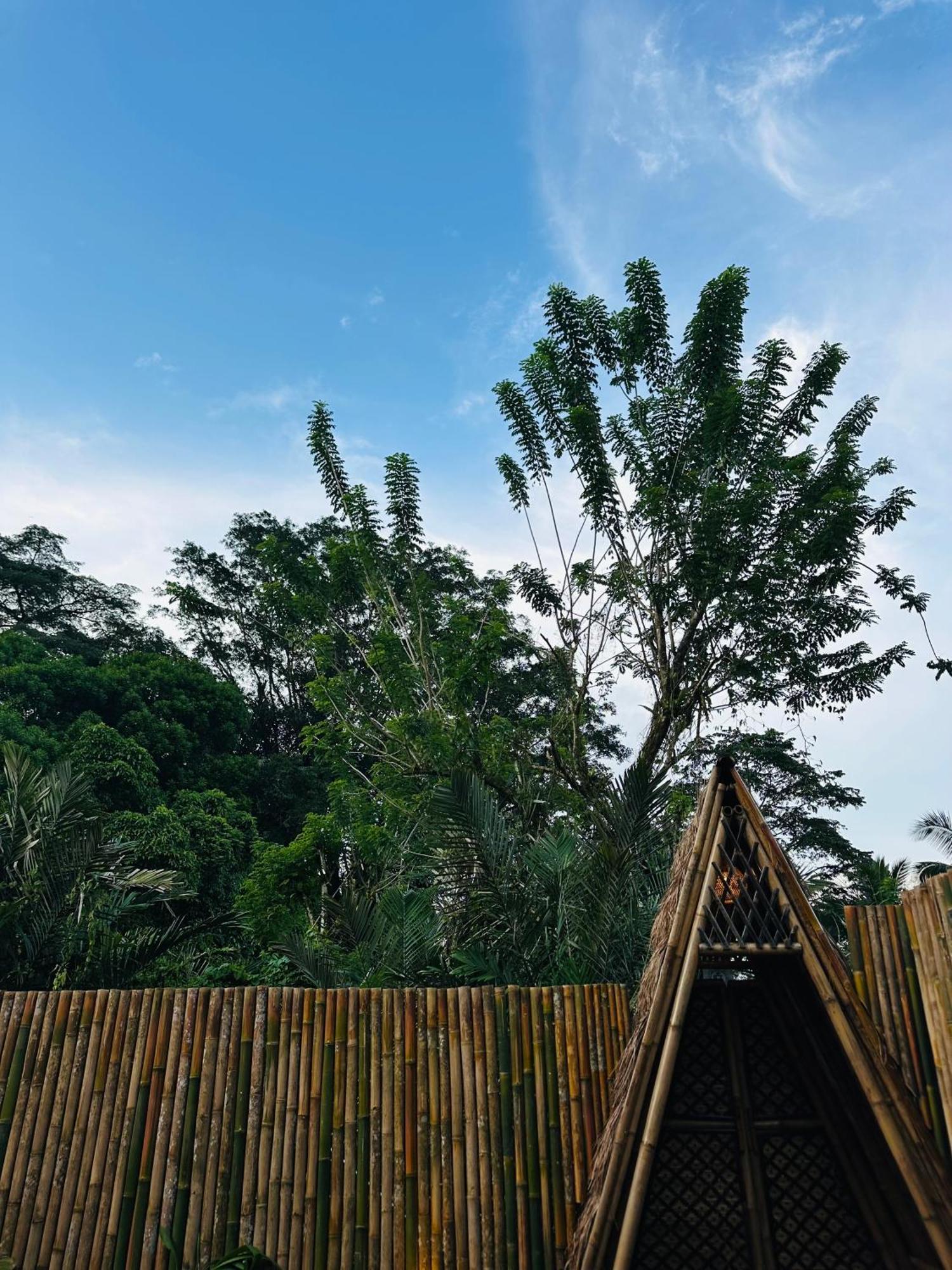 Bamboo House - Ecobreeze Villa Sidemen  Bagian luar foto